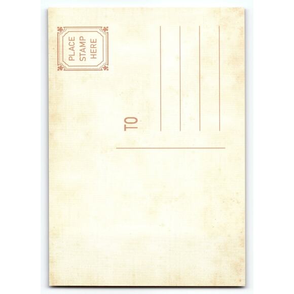 Vintage Halloween Skeleton with Jack-O'-Lanterns Chrome Postcard 5.5x4 - Picture 2 of 2